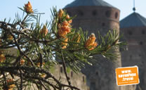 Savonlinnan Matkailu.jpg